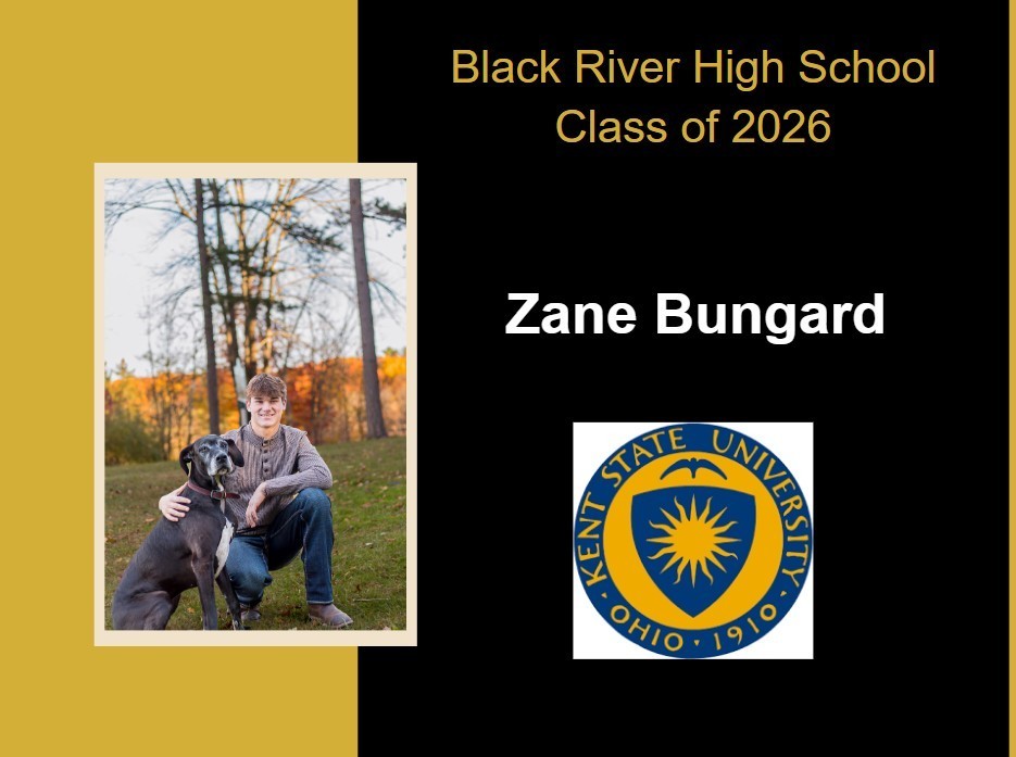 zane bungard