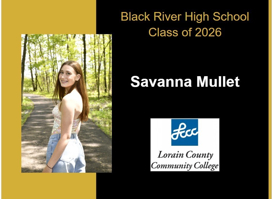 savanna mullet