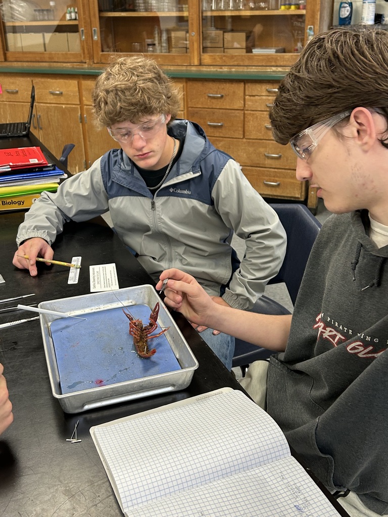 dissecting 3