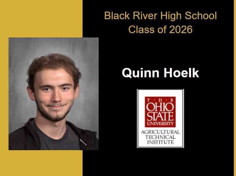 quinn hoelk