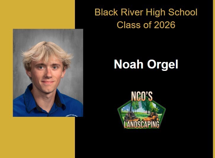 noah orgel 