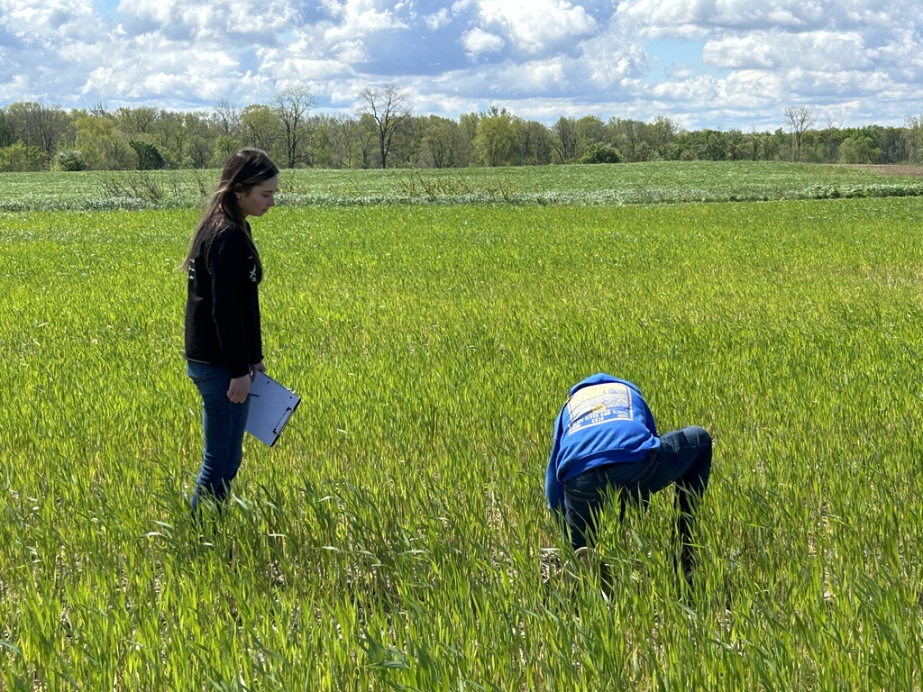 crop count