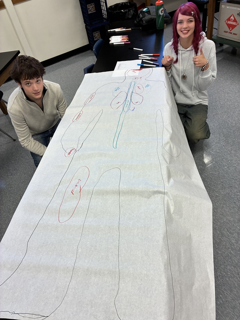 labeling the human body