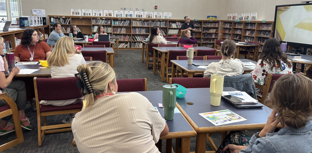 Teachers take part in professional development at BIS