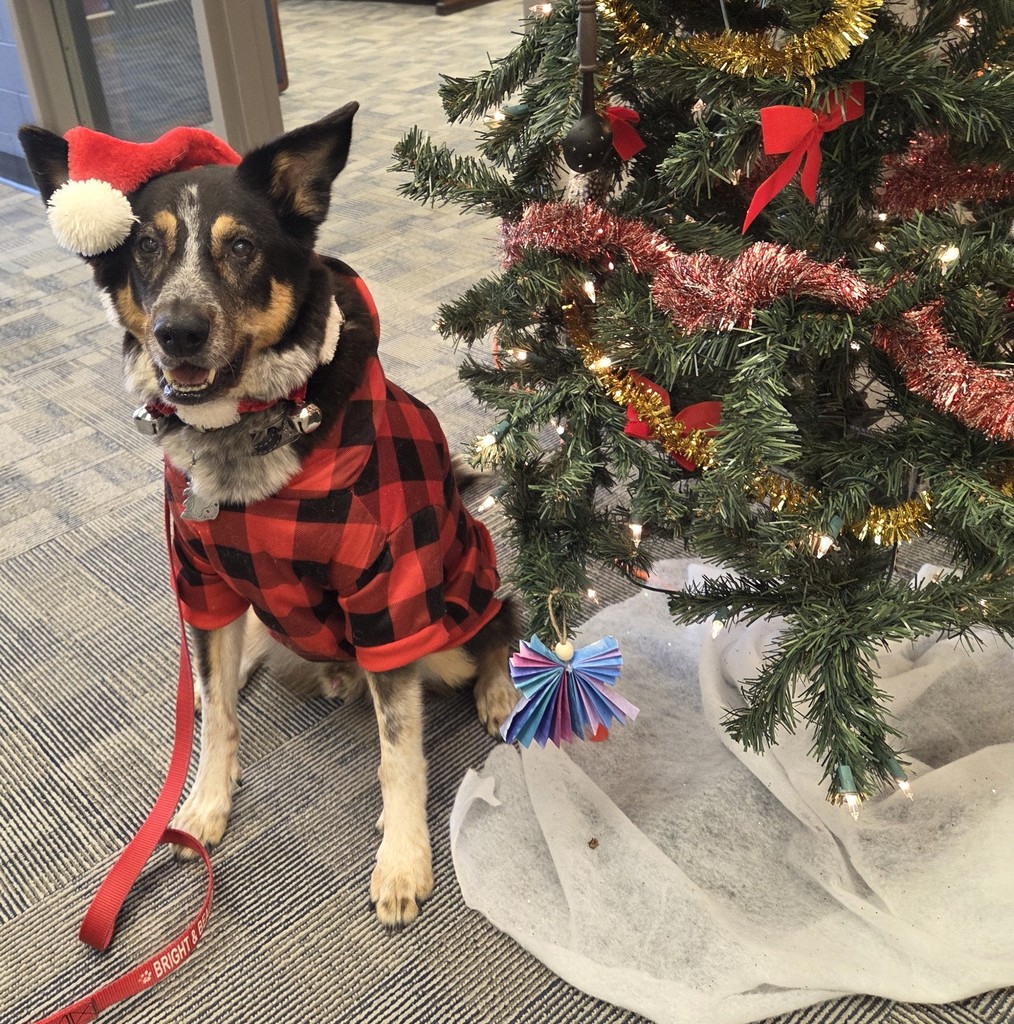 Oscar wishes everyone a merry christmas!