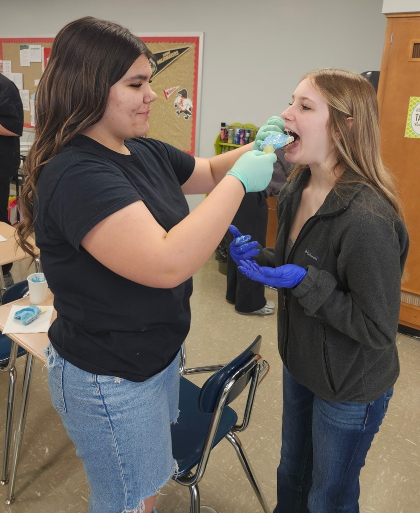 Students in the Principles of Healthcare class learn about doing dental impressions, sutures, and how to use a smart scale, as well as working on a project to help the animals at the Blackford County Animal Shelter.