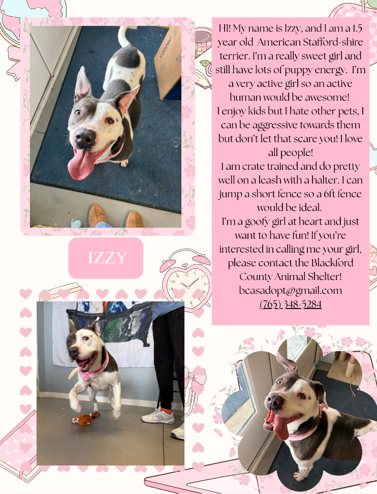 BJSHS Principles of Health Care Class spotlight special pets available at the Blackford County Animal Shelter