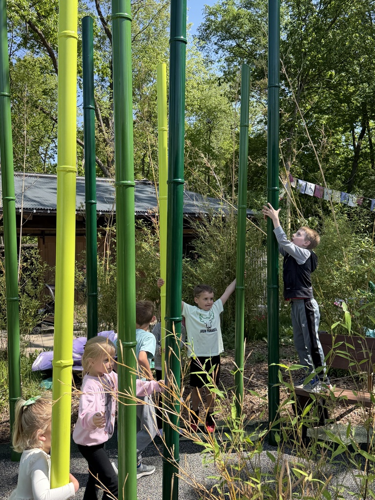 5 kindergarten students play at the Fort Wayne Zoo