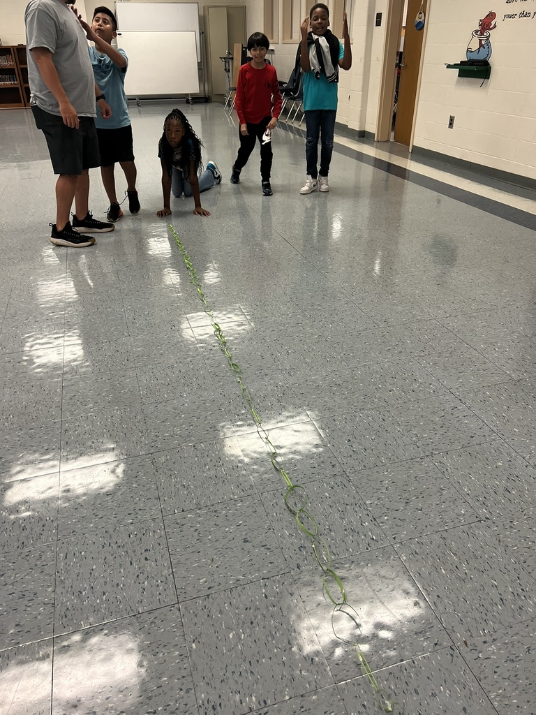 A group of students stands at the end of a long green paper chain stretched across the floor, excitedly watching their progress.