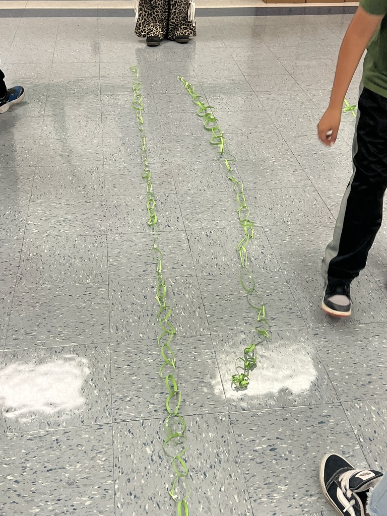 Two rows of green paper chains are stretched out side by side as students compare their lengths.