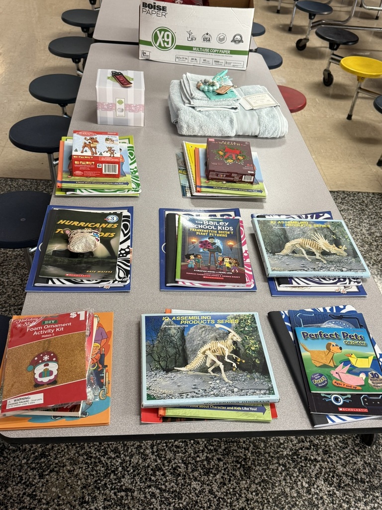 Table full of prizes including books, activity kits, and household items.