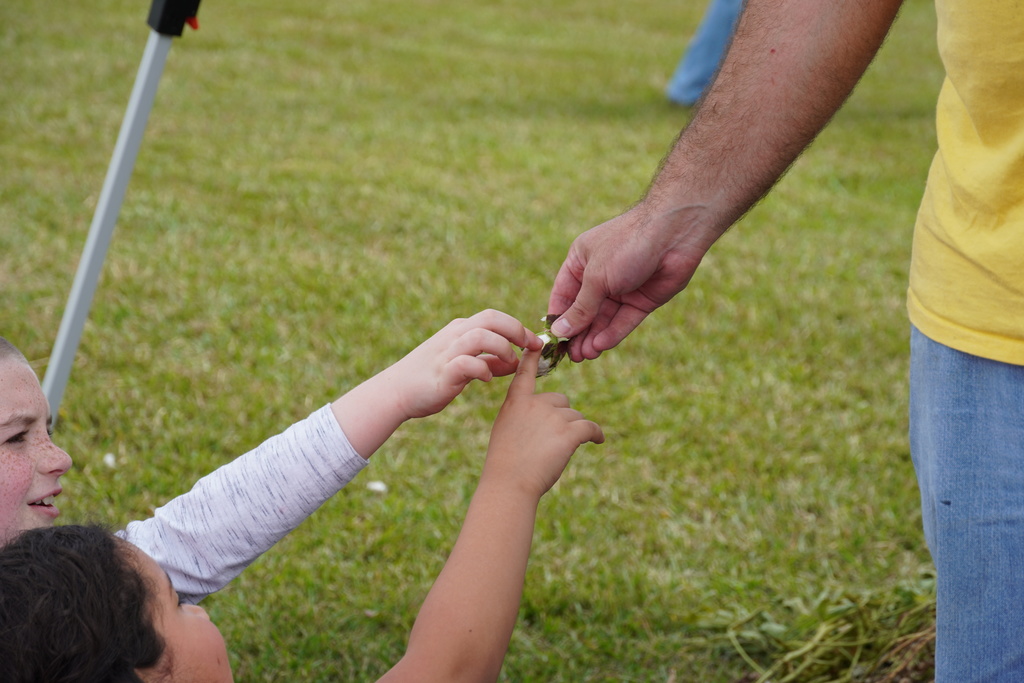 Students participate in hands-on agriculture activities during Ag ‘Em Up Day, learning about farm equipment, animals, and crop production.