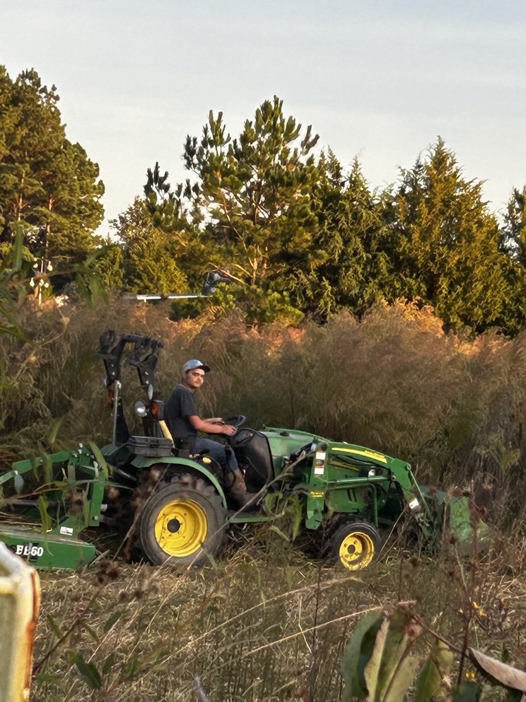 A person wearing a cap and sunglasses drives a green John Deere tractor through tall grass, with trees and golden sunlight in the background.