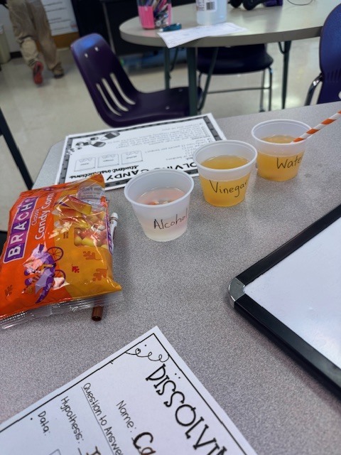 Three labeled cups containing water, vinegar, and alcohol sit on a table next to a bag of Brach’s candy corn. A lab worksheet and orange-striped straw are also visible.