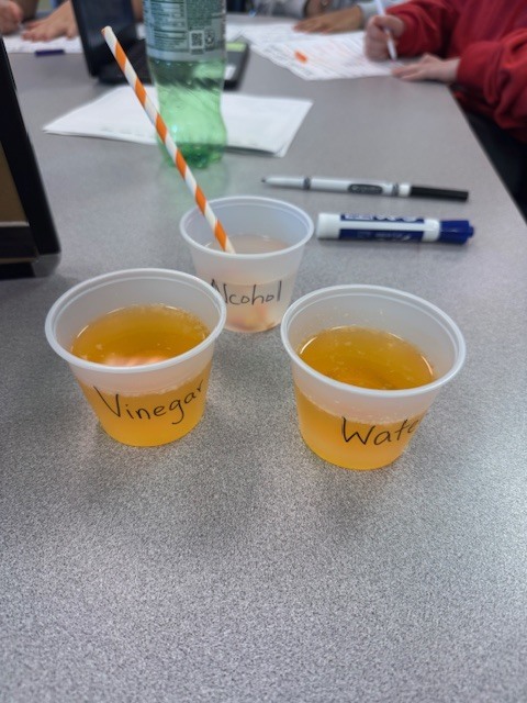 Three labeled cups containing water, vinegar, and alcohol sit on a table next to a bag of Brach’s candy corn. A lab worksheet and orange-striped straw are also visible.