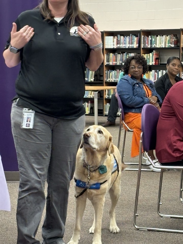 jester in the media center