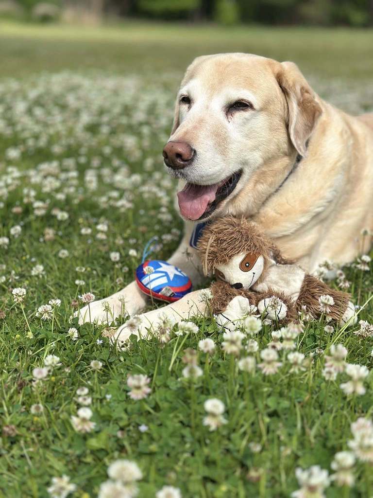 smiling jester outside