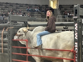 female student riding a bull
