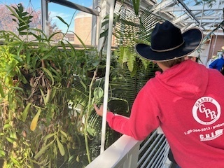 student interacting with plants