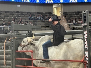 male student riding a bull