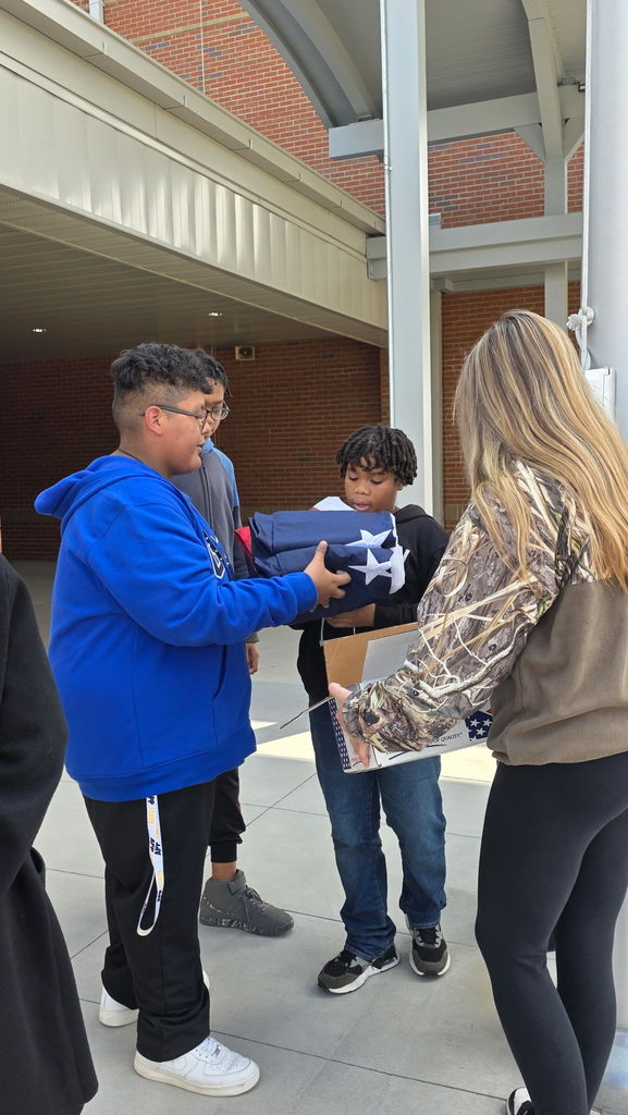 Veteran’s day Flag