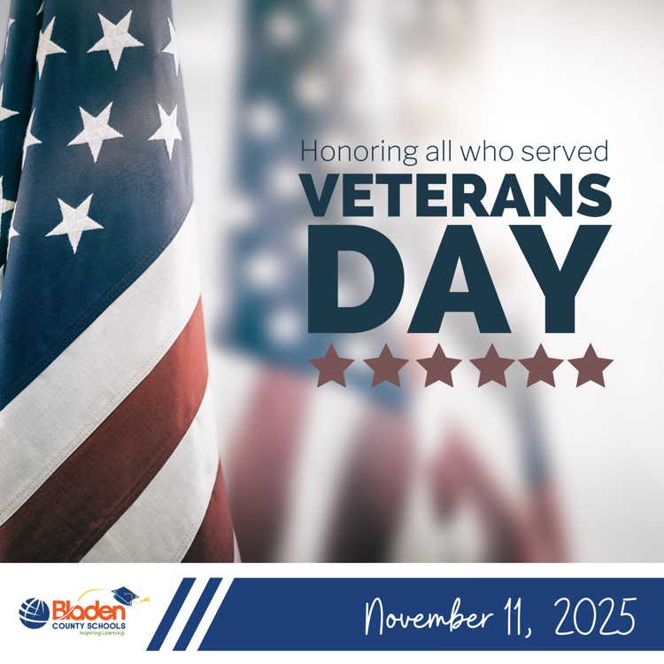 graphic with American flag, and the words honoring all served Veterans Day