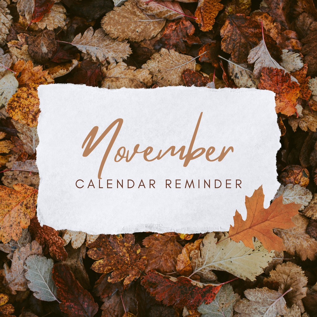 November calendar reminder graphic with a white textured box centered over a background of colorful autumn leaves.