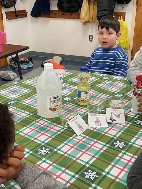Students sit around a table covered with a green holiday tablecloth while participating in a Gingerbread Man experiment. A gingerbread cookie, milk, water, and oil are on the table with picture cards labeling each liquid as students observe and discuss.