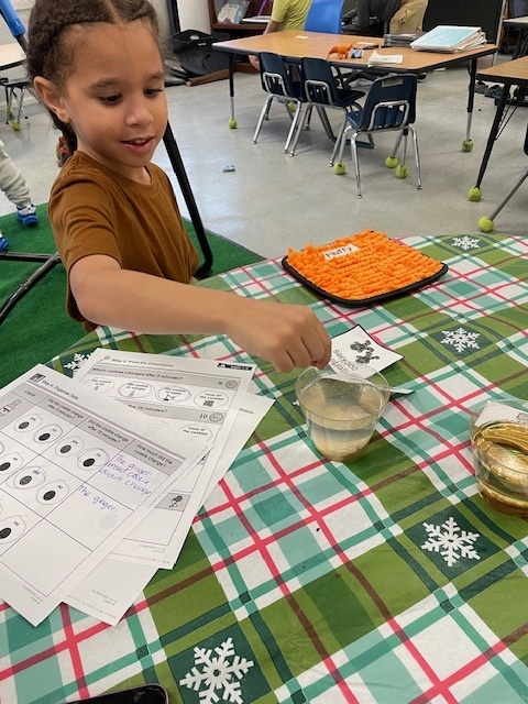 Students sit around a table covered with a green holiday tablecloth while participating in a Gingerbread Man experiment. A gingerbread cookie, milk, water, and oil are on the table with picture cards labeling each liquid as students observe and discuss.