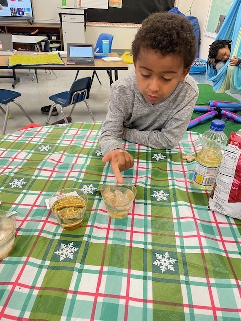 Students sit around a table covered with a green holiday tablecloth while participating in a Gingerbread Man experiment. A gingerbread cookie, milk, water, and oil are on the table with picture cards labeling each liquid as students observe and discuss.