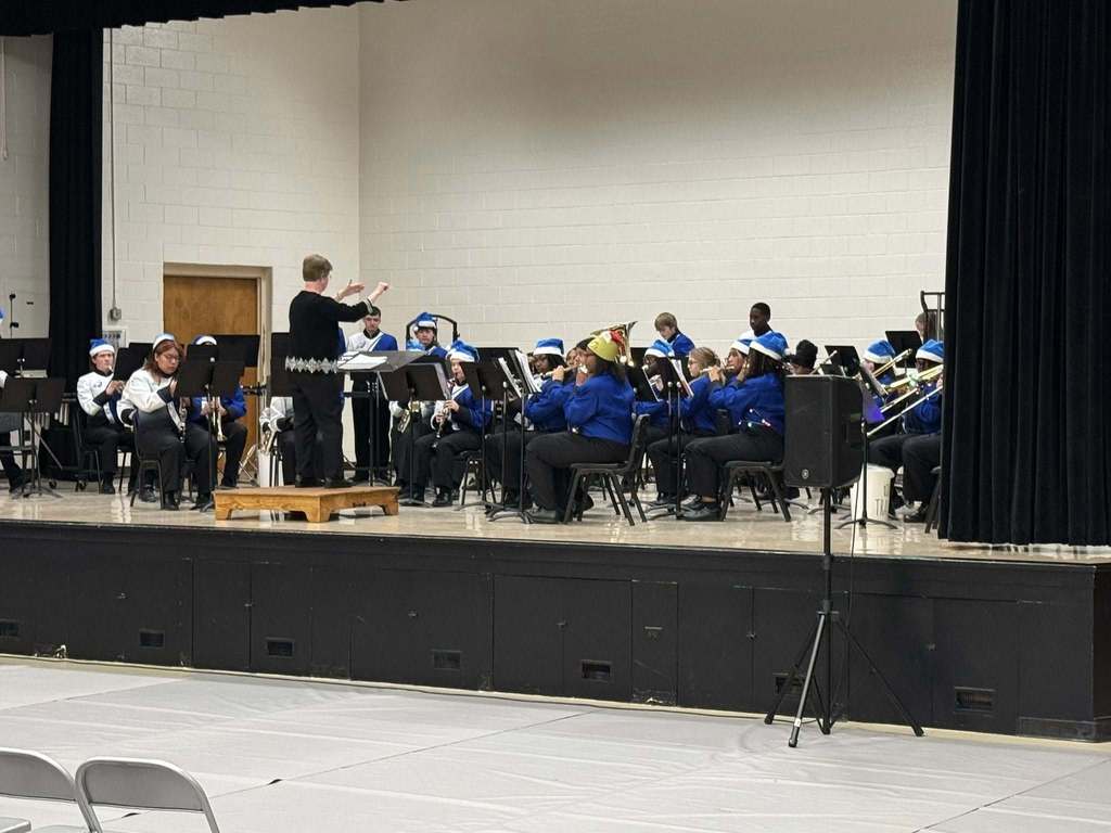 A wide view of the full school band performing on stage as the conductor leads from the podium during a holiday concert.