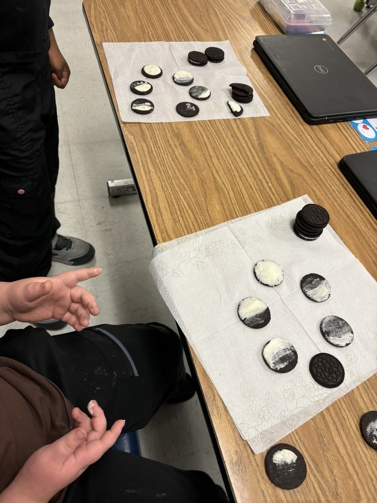 Chocolate sandwich cookies split open on napkins atop a classroom table, showing different amounts of cream filling for a hands-on activity.