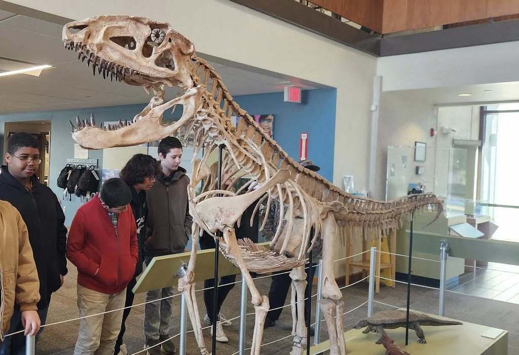 Students stand inside a museum examining a large dinosaur skeleton exhibit.