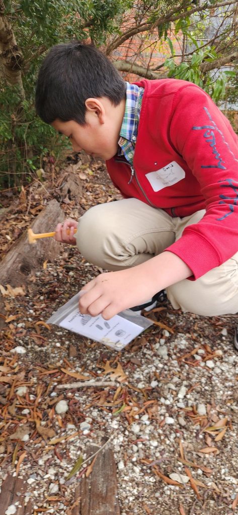 A student kneels outdoors collecting soil samples with a small tool during a hands-on science activity.