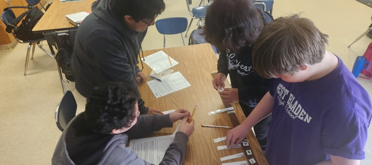 students working on science project