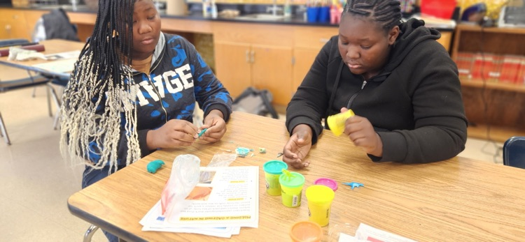 students working on science project