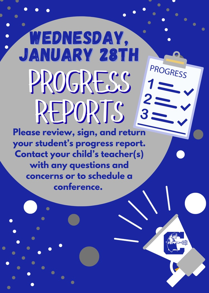 progress reports