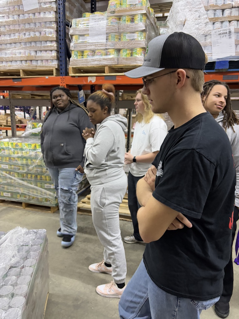students looking at materials