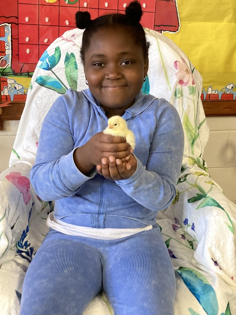 A girl in a blue outfit sits on a floral chair, smiling and holding a small yellow chick in her hands.