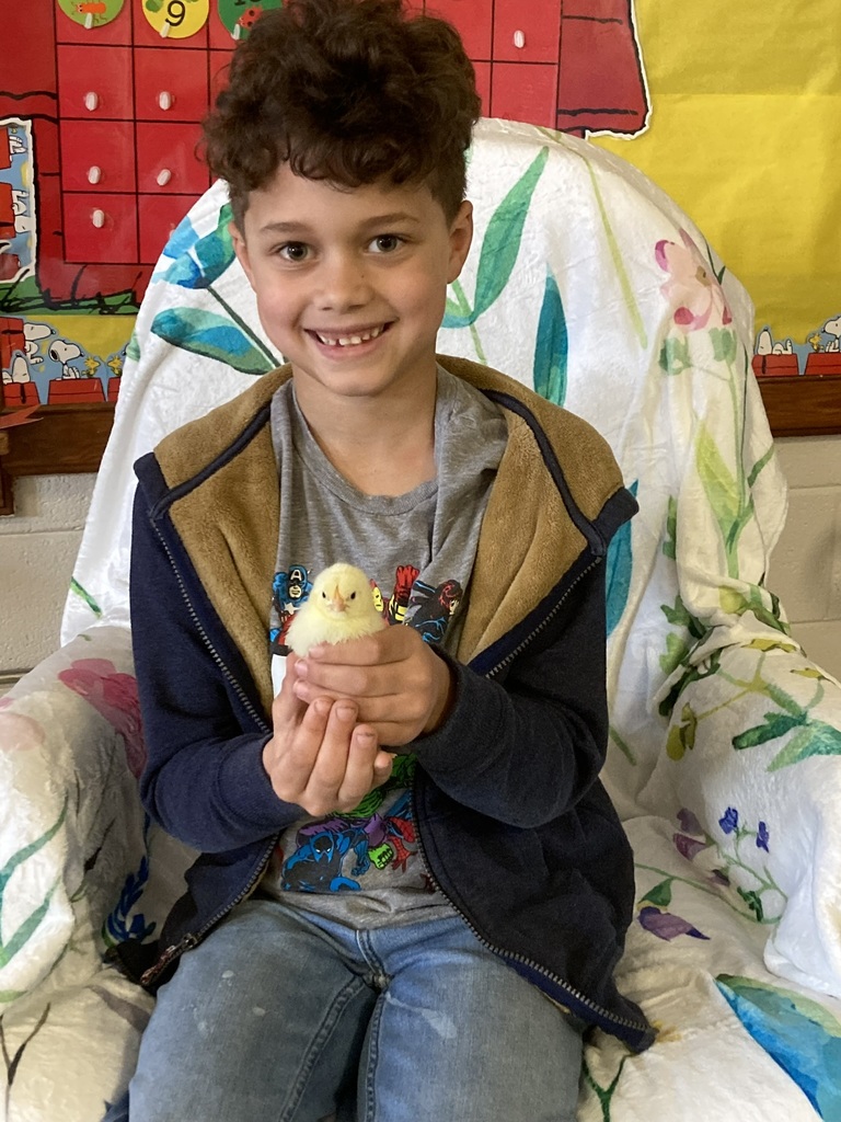 A boy in a navy and khaki jacket sits on a floral chair, smiling and holding a small yellow chick in his hands.