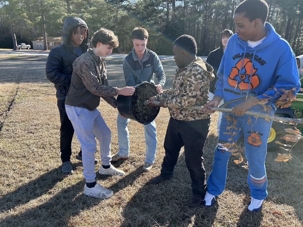 Five students in casual clothing work together outdoors to plant a tree in a large black plastic pot on a sunny day.