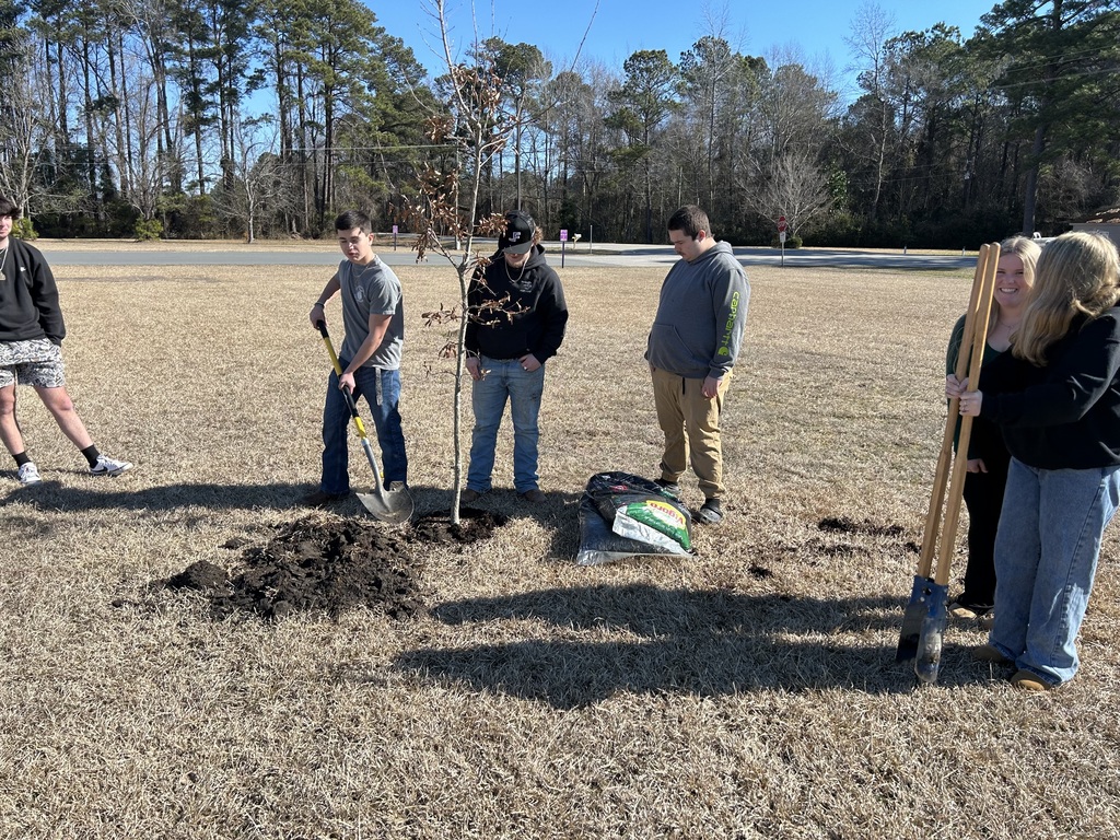 Five students and an adult planting a small tree in a field on a sunny day with shovels and a bag of mulch.