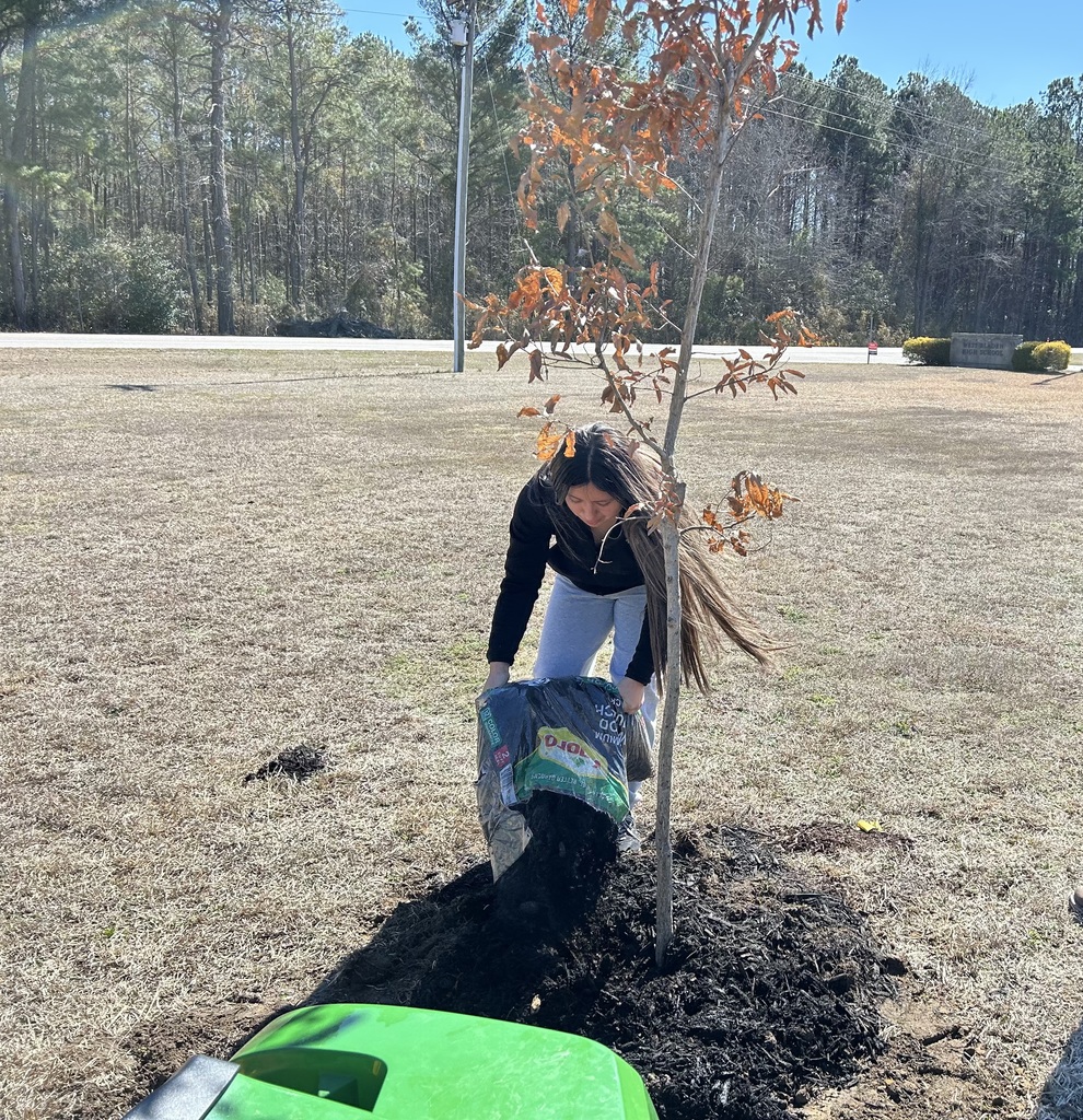 A young person wearing a black jacket and jeans plants a small tree in a grassy field on a sunny day with trees behind.