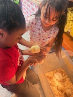 Two elementary students gently hold a newly hatched chick while standing beside a brooder bin filled with wood shavings and a heat lamp in a classroom.