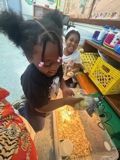 Students gather around the brooder bin under a warm heat lamp as one student carefully holds a chick and others watch.
