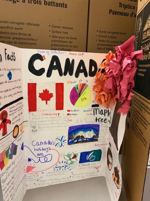 Student display board about Canada showing the Canadian flag, information about holidays, a maple tree, and colorful charts explaining Canadian culture.