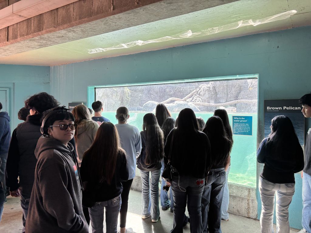 A group of students stands indoors at a zoo exhibit, looking through a large glass window into a water habitat, while one student in the foreground turns and looks toward the camera.