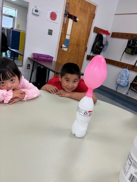 Students watch as a balloon inflates on top of a bottle during a classroom experiment demonstrating a chemical reaction that produces gas.