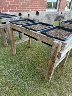 three planters with soil