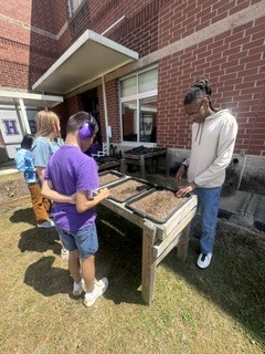 three students watering the cucumber  seedlings and picking the weeds